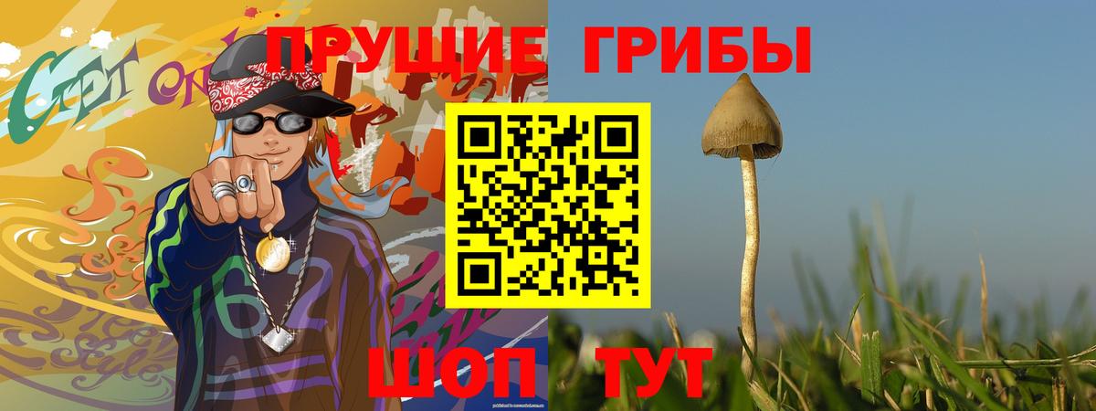Галлюциногенные грибы прущие грибы  Галлюциногенные грибы ЛСД  Вход с VPN  Красноярск 