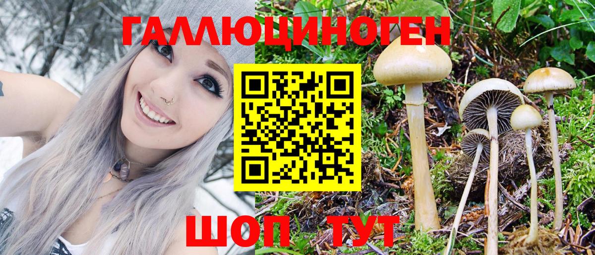 Галлюциногенные грибы мицелий Красноярск